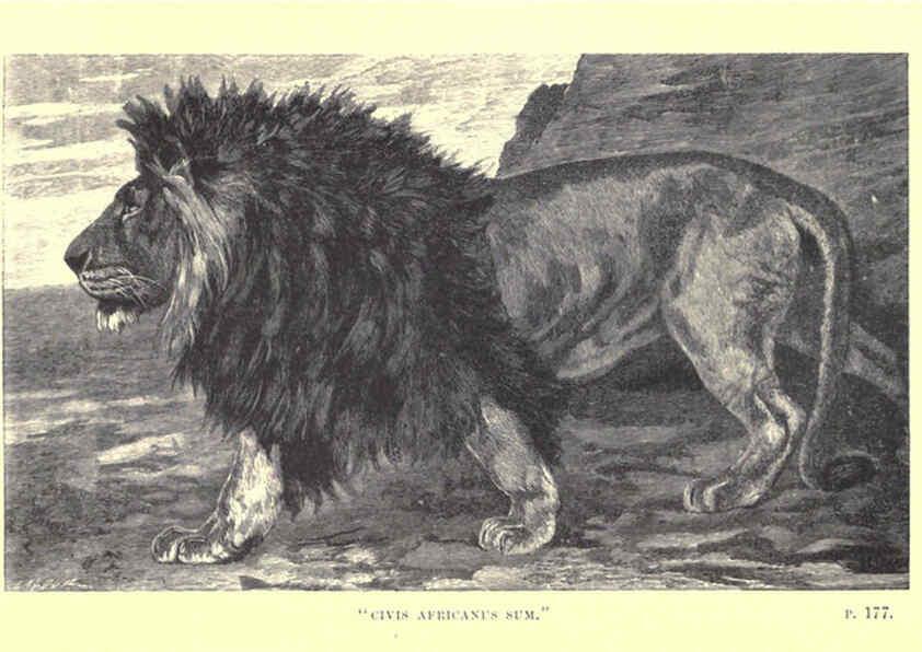 Reproducción/Reproduction 6505684585: Wild beasts and their ways London,Macmillan and co.,1890