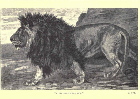 Reproducción/Reproduction 6505684585: Wild beasts and their ways London,Macmillan and co.,1890