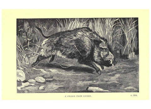 Reproducción/Reproduction 6505689231: Wild beasts and their ways London,Macmillan and co.,1890