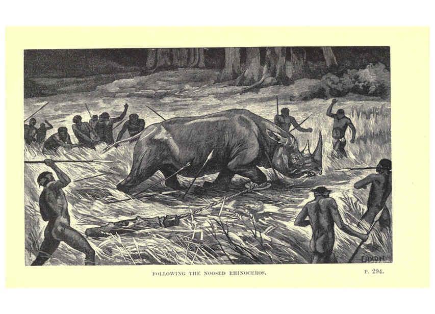 Reproducción/Reproduction 6505688733: Wild beasts and their ways London,Macmillan and co.,1890