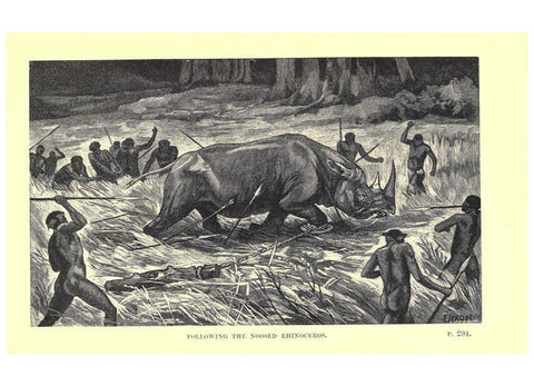 Reproducción/Reproduction 6505688733: Wild beasts and their ways London,Macmillan and co.,1890