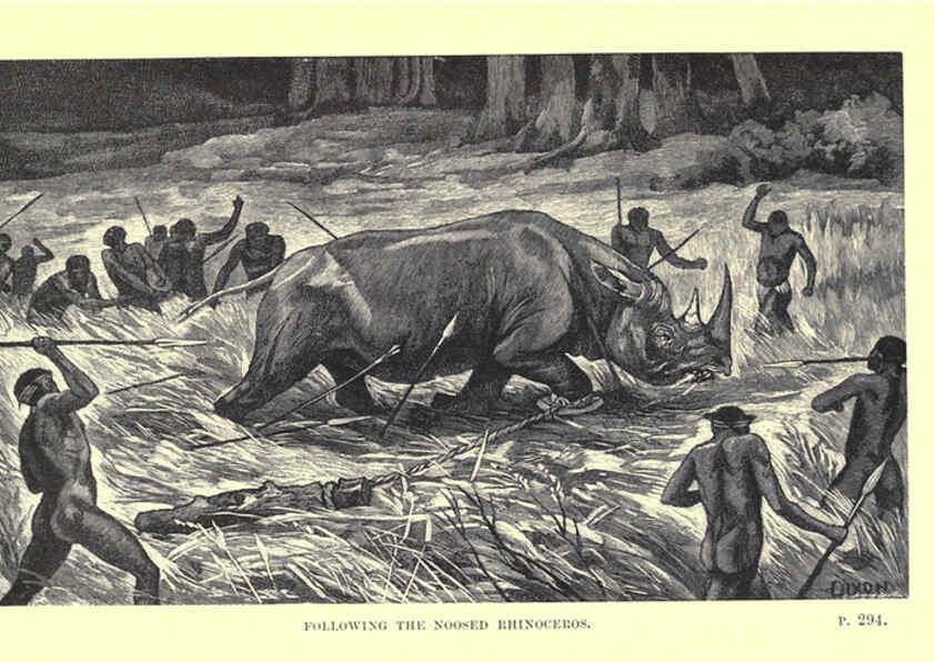 Reproducción/Reproduction 6505688733: Wild beasts and their ways London,Macmillan and co.,1890