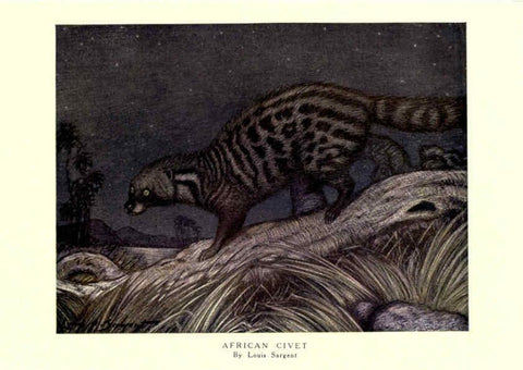 Reproducción/Reproduction 6505642877: The wild beasts of the world. v.1. London :T. C. & E. C. Jack,[1909?] 