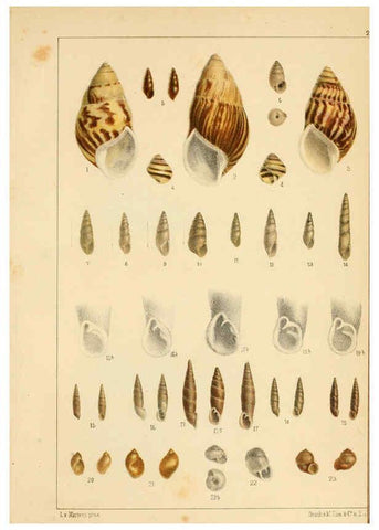 Reproducción/Reproduction 6472371361: Die Preussische expedition nach Ost-Asien. bd.2. Berlin :Königlichen geheimen ober-hofbuchdruckerei (R. v. Decker),1867-1876