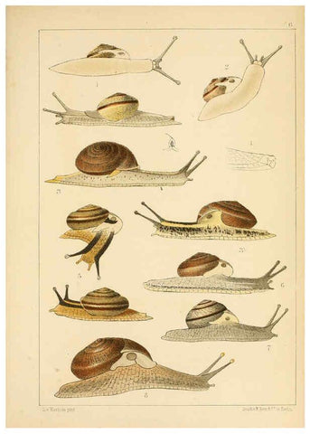 Reproducción/Reproduction 6472359629: Die Preussische expedition nach Ost-Asien. bd.2. Berlin :Königlichen geheimen ober-hofbuchdruckerei (R. v. Decker),1867-1876