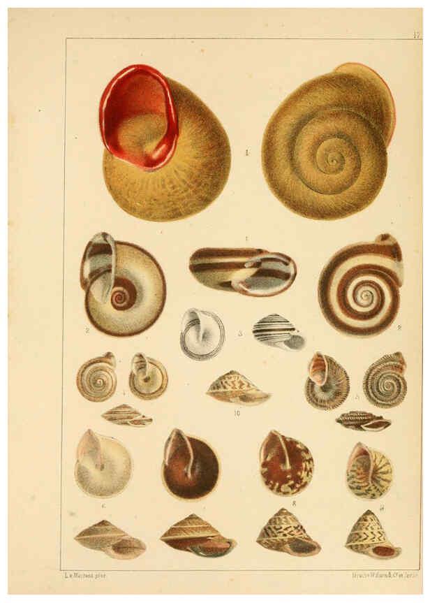Reproducción/Reproduction 6472363897: Die Preussische expedition nach Ost-Asien. bd.2. Berlin :Königlichen geheimen ober-hofbuchdruckerei (R. v. Decker),1867-1876
