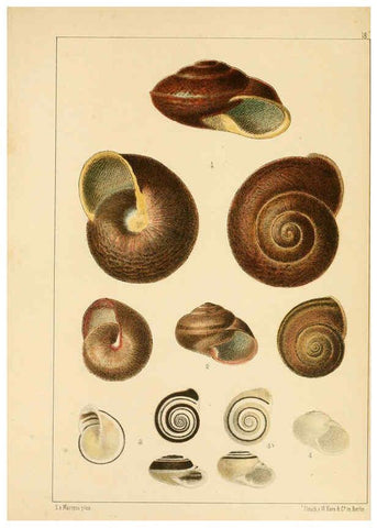 Reproducción/Reproduction 6472364381: Die Preussische expedition nach Ost-Asien. bd.2. Berlin :Königlichen geheimen ober-hofbuchdruckerei (R. v. Decker),1867-1876