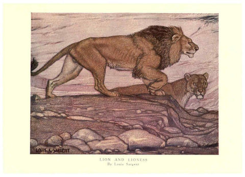 Reproducción/Reproduction 6505638941: The wild beasts of the world. v.1. London :T. C. & E. C. Jack,[1909?] 