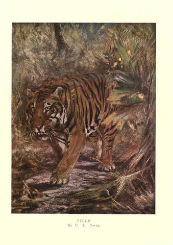Reproducción/Reproduction 6505639351: The wild beasts of the world. v.1. London :T. C. & E. C. Jack,[1909?] 