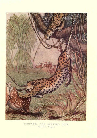Reproducción/Reproduction 6505639805: The wild beasts of the world. v.1. London :T. C. & E. C. Jack,[1909?] 