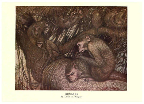 Reproducción/Reproduction 6505634293: The wild beasts of the world. v.1. London :T. C. & E. C. Jack,[1909?] 