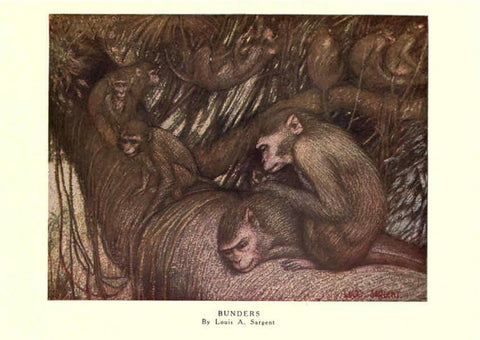 Reproducción/Reproduction 6505634293: The wild beasts of the world. v.1. London :T. C. & E. C. Jack,[1909?] 