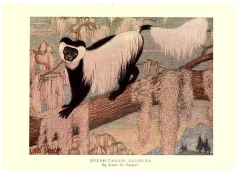 Reproducción/Reproduction 6505633859: The wild beasts of the world. v.1. London :T. C. & E. C. Jack,[1909?] 