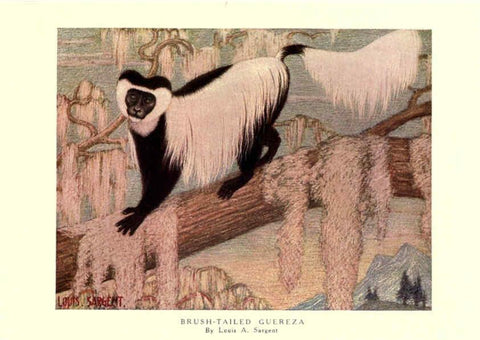 Reproducción/Reproduction 6505633859: The wild beasts of the world. v.1. London :T. C. & E. C. Jack,[1909?] 