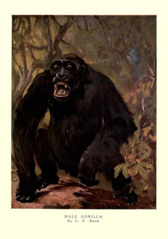 Reproducción/Reproduction 6505631689: The wild beasts of the world. v.1. London :T. C. & E. C. Jack,[1909?] 