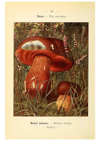 Reproducción/Reproduction 6459646153: Nouvel atlas de poche des champignons comestibles et vénéneux. v.1. Paris,Léon Lhome,1911-1912