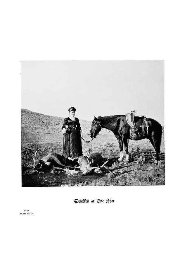 Reproducción/Reproduction 7026591845: Hoofs, claws and antlers of the Rocky Mountains, by the camera.. Denver, Co.F.S. Thayer,1894.