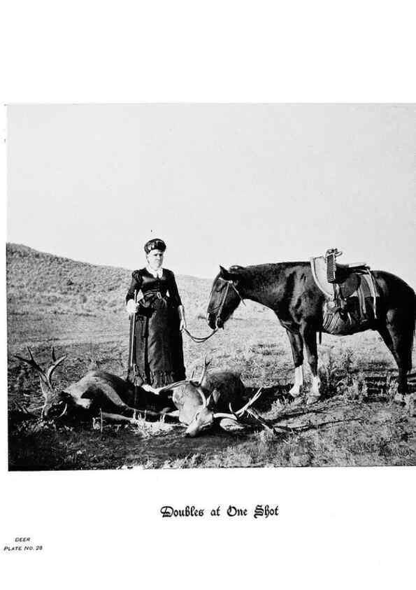 Reproducción/Reproduction 7026591845: Hoofs, claws and antlers of the Rocky Mountains, by the camera.. Denver, Co.F.S. Thayer,1894.
