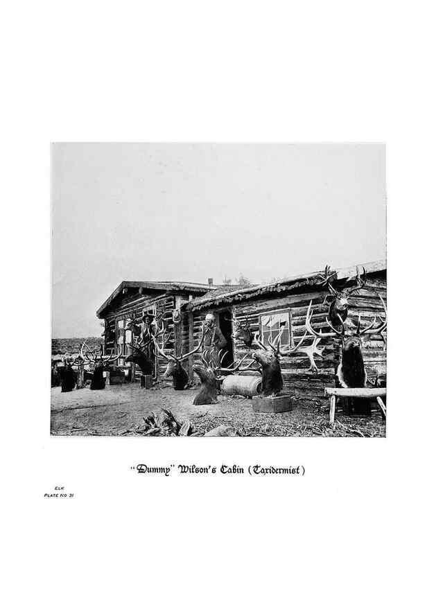 Reproducción/Reproduction 6880493060: Hoofs, claws and antlers of the Rocky Mountains, by the camera.. Denver, Co.F.S. Thayer,1894.