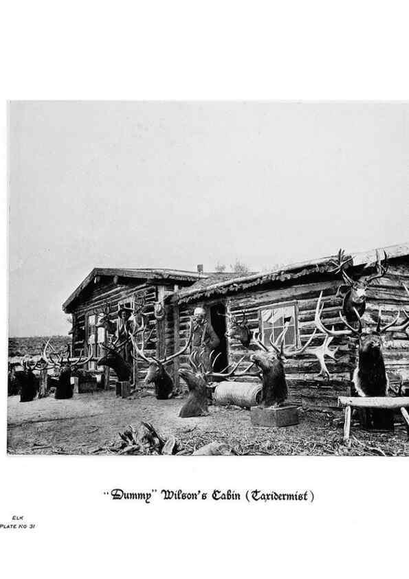 Reproducción/Reproduction 6880493060: Hoofs, claws and antlers of the Rocky Mountains, by the camera.. Denver, Co.F.S. Thayer,1894.