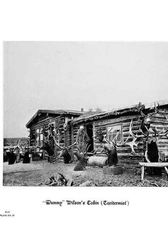 Reproducción/Reproduction 6880493060: Hoofs, claws and antlers of the Rocky Mountains, by the camera.. Denver, Co.F.S. Thayer,1894.