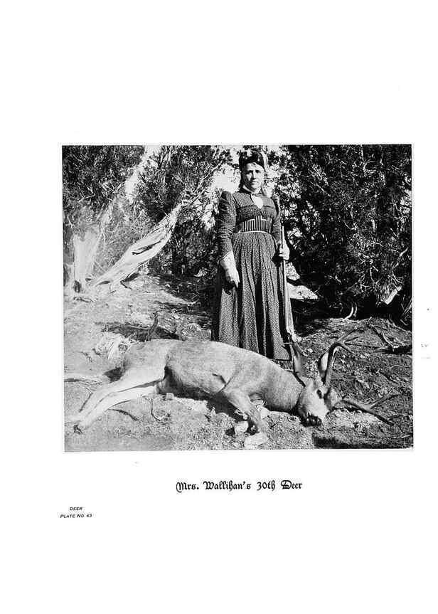 Reproducción/Reproduction 6880493454: Hoofs, claws and antlers of the Rocky Mountains, by the camera.. Denver, Co.F.S. Thayer,1894.