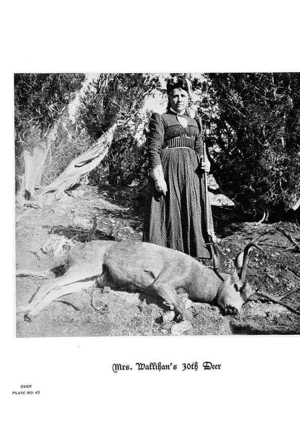 Reproducción/Reproduction 6880493454: Hoofs, claws and antlers of the Rocky Mountains, by the camera.. Denver, Co.F.S. Thayer,1894.