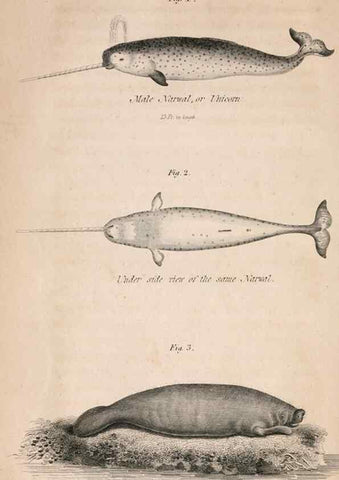 Reproducción/Reproduction 7029432647: American natural history.. Philadelphia,H.C. Carey & I. Lea,1826-28