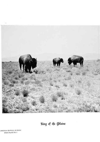 Reproducción/Reproduction 7026588805: Hoofs, claws and antlers of the Rocky Mountains, by the camera.. Denver, Co.F.S. Thayer,1894.