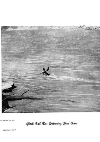 Reproducción/Reproduction 7026582991: Hoofs, claws and antlers of the Rocky Mountains, by the camera.. Denver, Co.F.S. Thayer,1894.