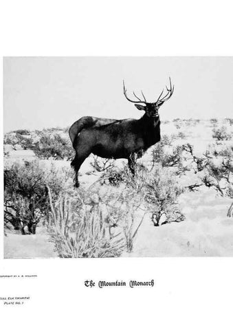 Reproducción/Reproduction 7026586577: Hoofs, claws and antlers of the Rocky Mountains, by the camera.. Denver, Co.F.S. Thayer,1894.