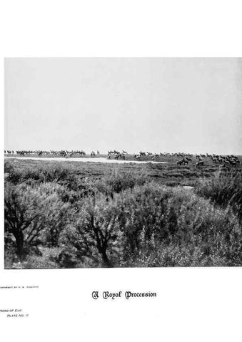 Reproducción/Reproduction 7026586885: Hoofs, claws and antlers of the Rocky Mountains, by the camera.. Denver, Co.F.S. Thayer,1894.