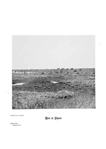 Reproducción/Reproduction 7026587199: Hoofs, claws and antlers of the Rocky Mountains, by the camera.. Denver, Co.F.S. Thayer,1894.