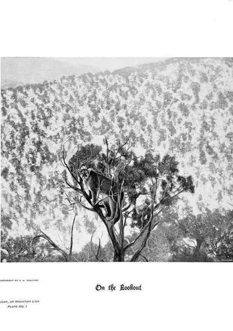 Reproducción/Reproduction 7026587517: Hoofs, claws and antlers of the Rocky Mountains, by the camera.. Denver, Co.F.S. Thayer,1894.