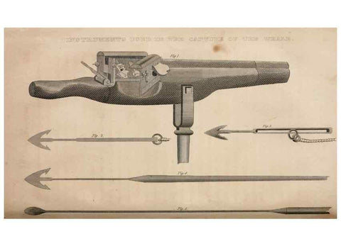 Reproducción/Reproduction 6883334312: American natural history.. Philadelphia,H.C. Carey & I. Lea,1826-28
