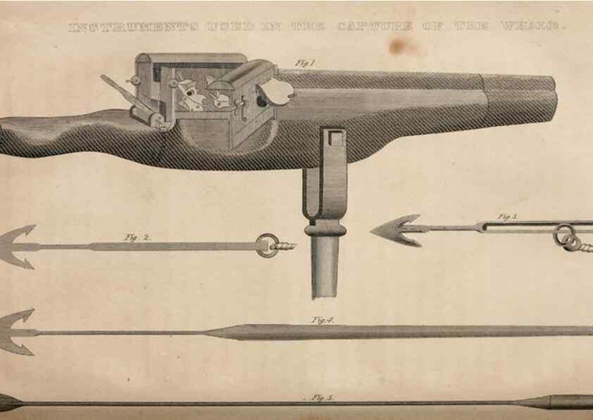 Reproducción/Reproduction 6883334312: American natural history.. Philadelphia,H.C. Carey & I. Lea,1826-28