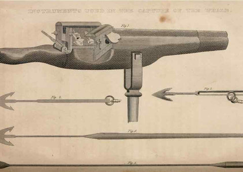 Reproducción/Reproduction 6883334312: American natural history.. Philadelphia,H.C. Carey & I. Lea,1826-28