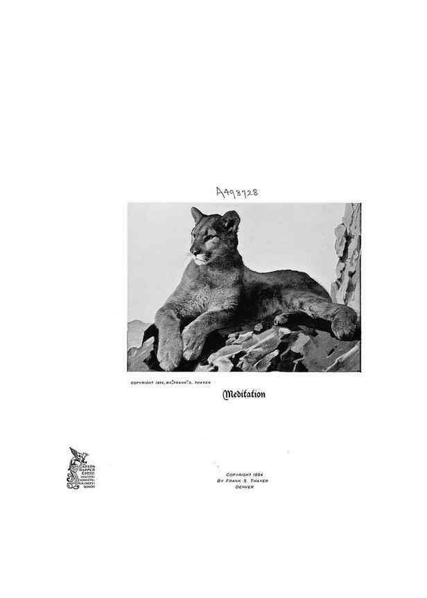 Reproducción/Reproduction 6880481824: Hoofs, claws and antlers of the Rocky Mountains, by the camera.. Denver, Co.F.S. Thayer,1894.
