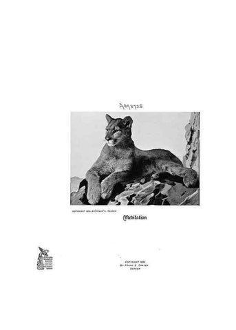 Reproducción/Reproduction 6880481824: Hoofs, claws and antlers of the Rocky Mountains, by the camera.. Denver, Co.F.S. Thayer,1894.