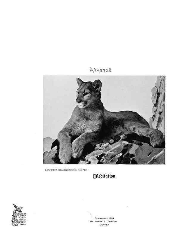 Reproducción/Reproduction 6880481824: Hoofs, claws and antlers of the Rocky Mountains, by the camera.. Denver, Co.F.S. Thayer,1894.