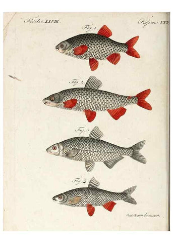 Reproducción/Reproduction 7002721571: Porte-feuille instructif et amusant pour la jeunesse :. Àvienne,Chez Antoine Pichler,1807.