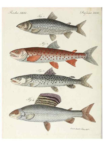 Reproducción/Reproduction 6856608092: Porte-feuille instructif et amusant pour la jeunesse :. Àvienne,Chez Antoine Pichler,1807.