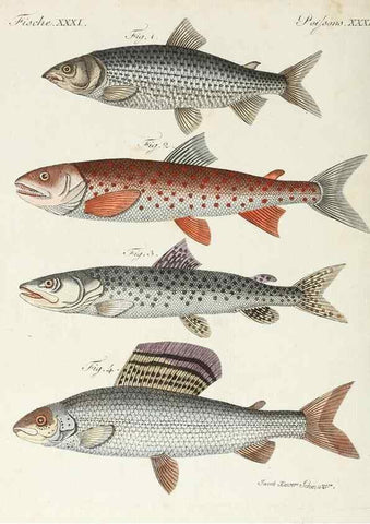 Reproducción/Reproduction 6856608092: Porte-feuille instructif et amusant pour la jeunesse :. Àvienne,Chez Antoine Pichler,1807.
