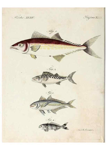 Reproducción/Reproduction 6856609562: Porte-feuille instructif et amusant pour la jeunesse :. Àvienne,Chez Antoine Pichler,1807.