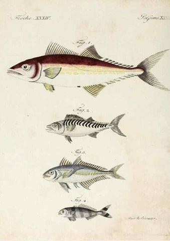 Reproducción/Reproduction 6856609562: Porte-feuille instructif et amusant pour la jeunesse :. Àvienne,Chez Antoine Pichler,1807.