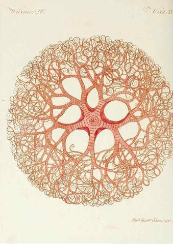 Reproducción/Reproduction 6856610974: Porte-feuille instructif et amusant pour la jeunesse :. Àvienne,Chez Antoine Pichler,1807.
