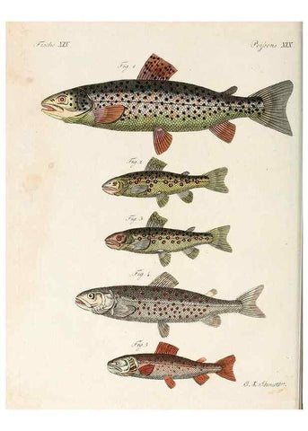 Reproducción/Reproduction 7002720189: Porte-feuille instructif et amusant pour la jeunesse :. Àvienne,Chez Antoine Pichler,1807.