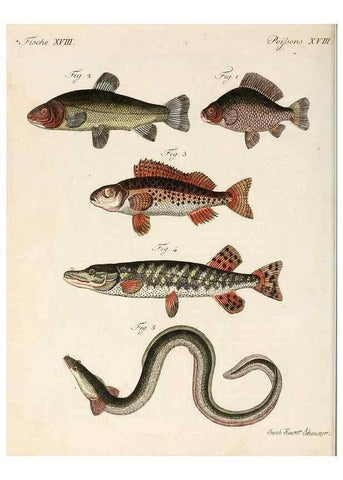 Reproducción/Reproduction 7002719691: Porte-feuille instructif et amusant pour la jeunesse :. Àvienne,Chez Antoine Pichler,1807.