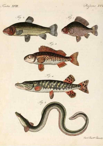Reproducción/Reproduction 7002719691: Porte-feuille instructif et amusant pour la jeunesse :. Àvienne,Chez Antoine Pichler,1807.