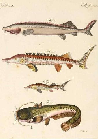 Reproducción/Reproduction 7002717941: Porte-feuille instructif et amusant pour la jeunesse :. Àvienne,Chez Antoine Pichler,1807.